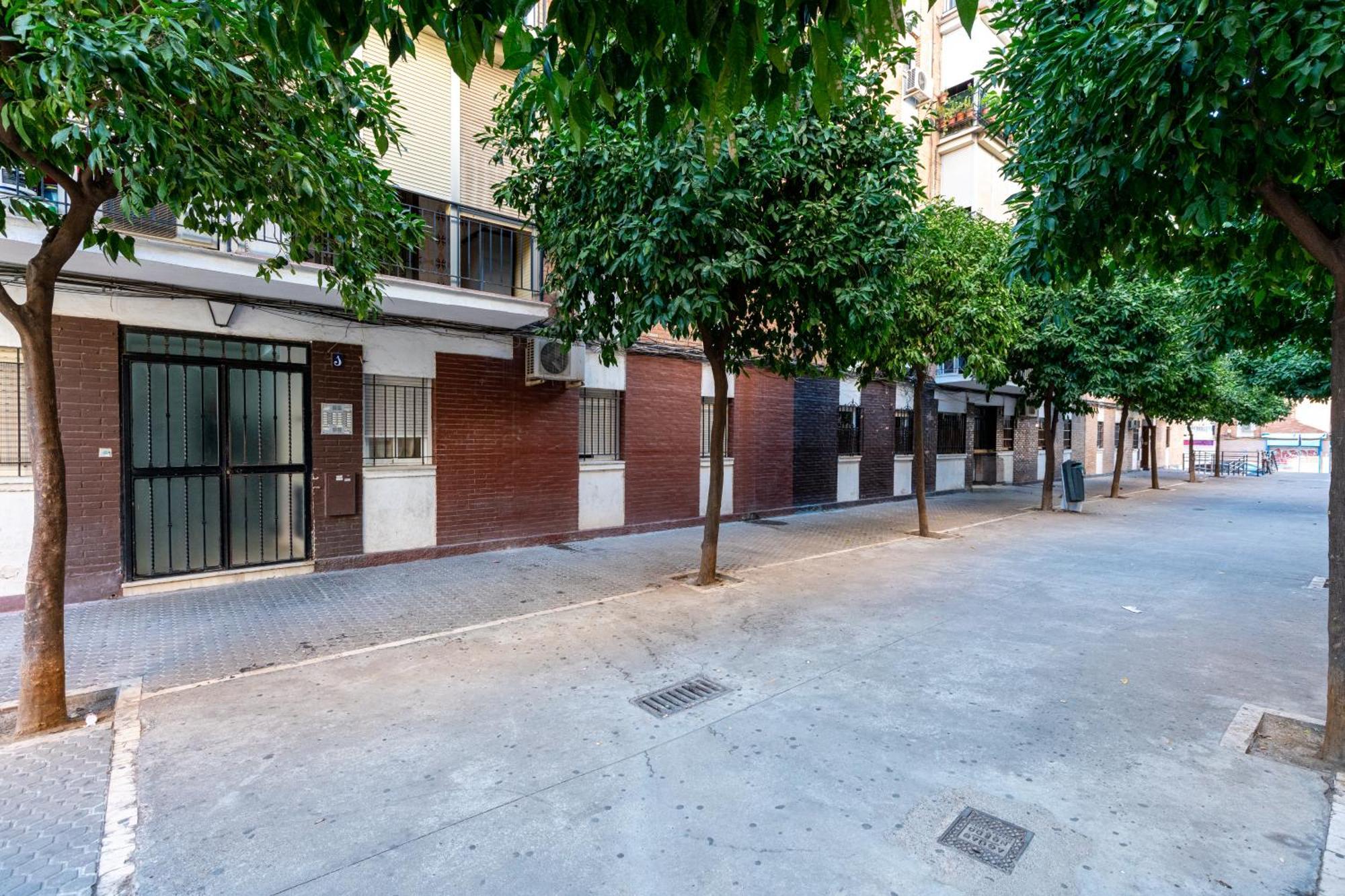 Piso Elegante Y Nuevo De 3 Y 2 Banos * Sevilla